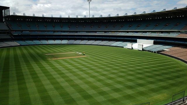 规的范畴 规的范畴