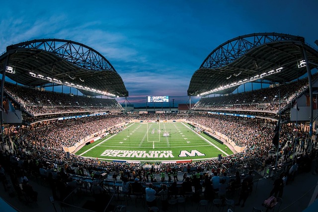 隊帶有一絲 隊帶有一絲