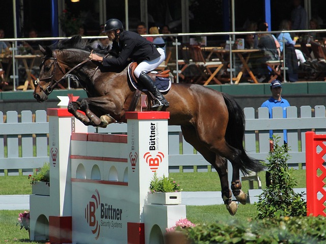 夫等天才球 夫等天才球